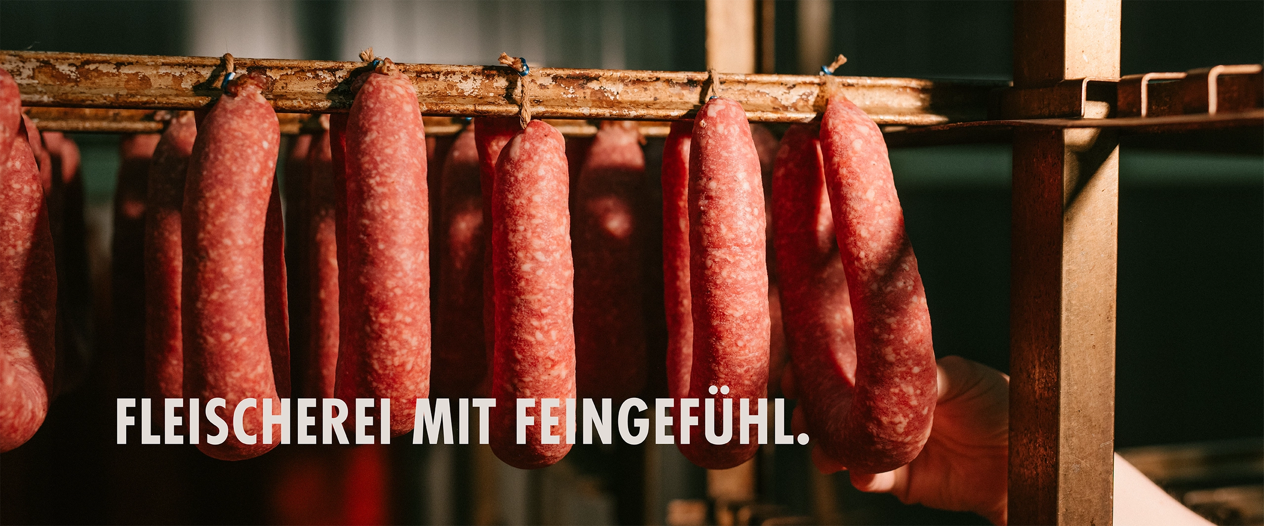 Slider mit Ringwurst-Salami